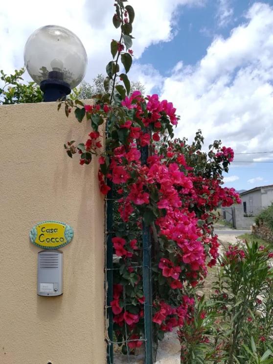 Sant Isidoro Casa Cocco公寓 外观 照片