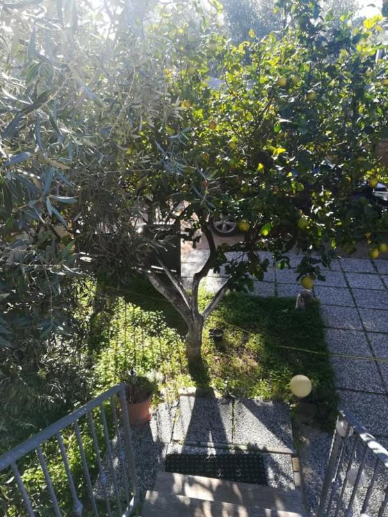 Sant Isidoro Casa Cocco公寓 外观 照片