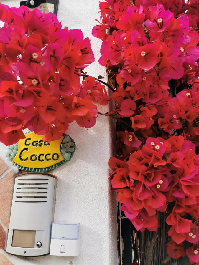 Sant Isidoro Casa Cocco公寓 外观 照片
